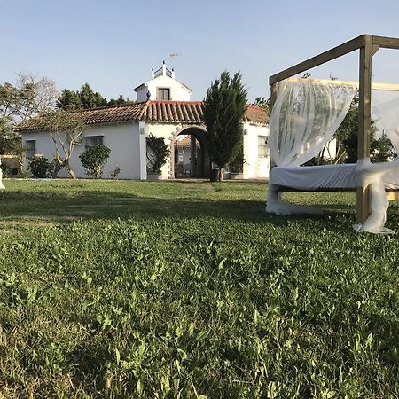 Amarna Conil Konuk evi Conil De La Frontera Dış mekan fotoğraf